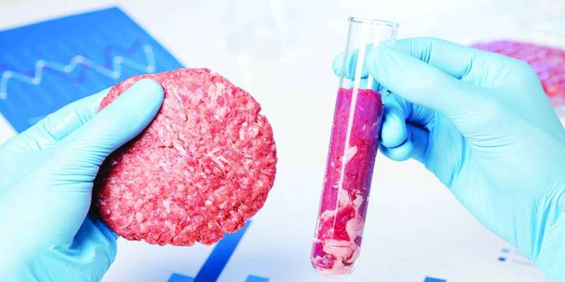 اللحم المزروع خالٍ من النفايات