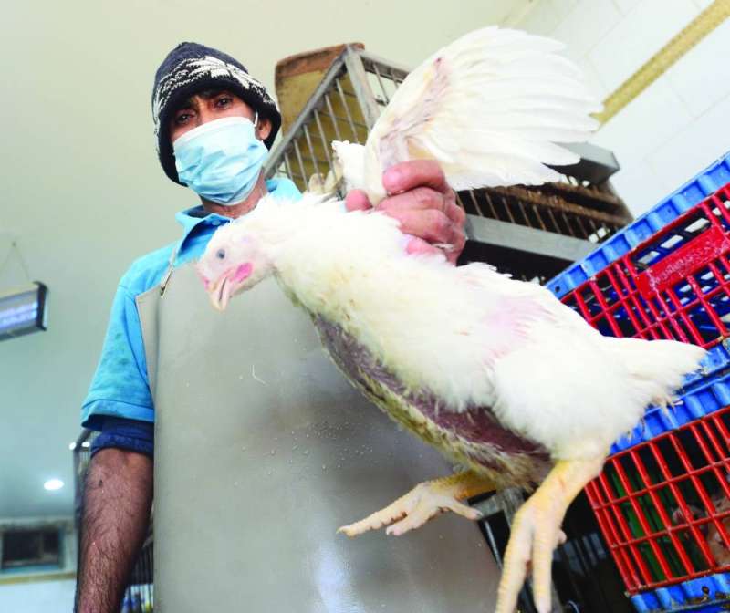 بائعو الدجاج واثقون من أنفسهم في مواجهة اللحم المزروع