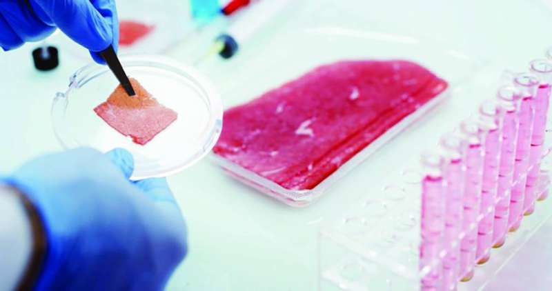 أنابيب الزراعة