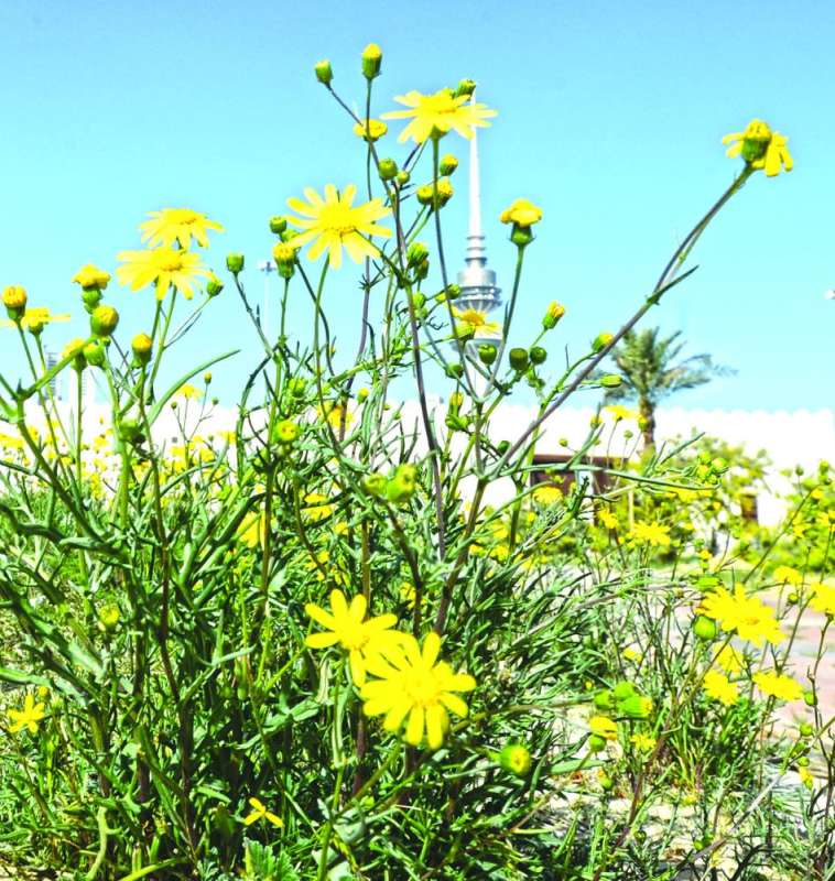 «النوير» أنار الطرقات 	(تصوير أسعد عبدالله)