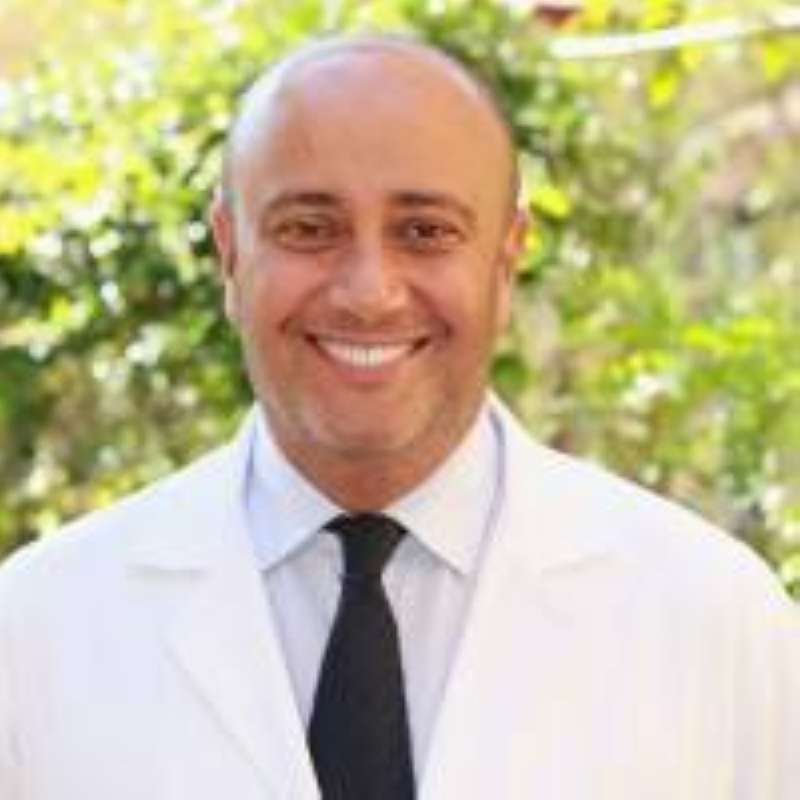 الدكتور ربيع شاهين