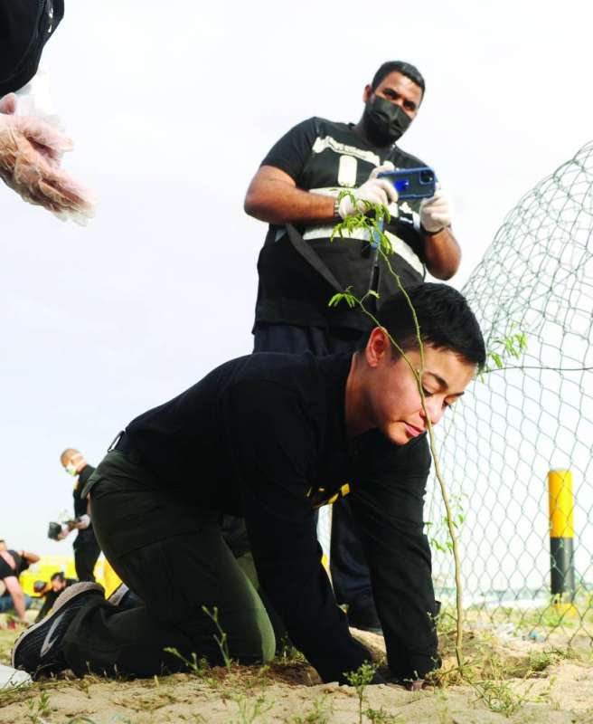 زراعة الأشجار لزيادة الأكسجين