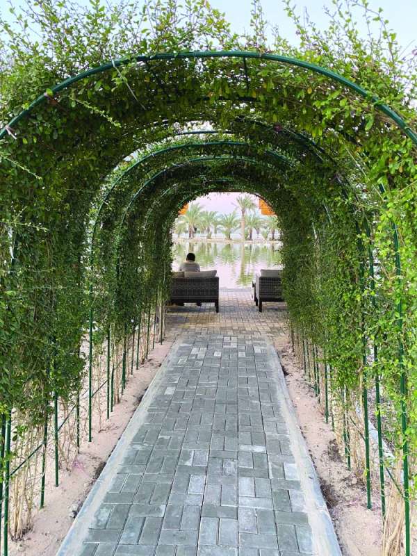 الماء والخضراء وسحر المشهد