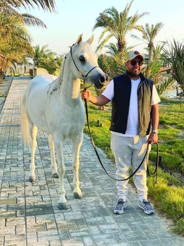 الفرس من الفارس