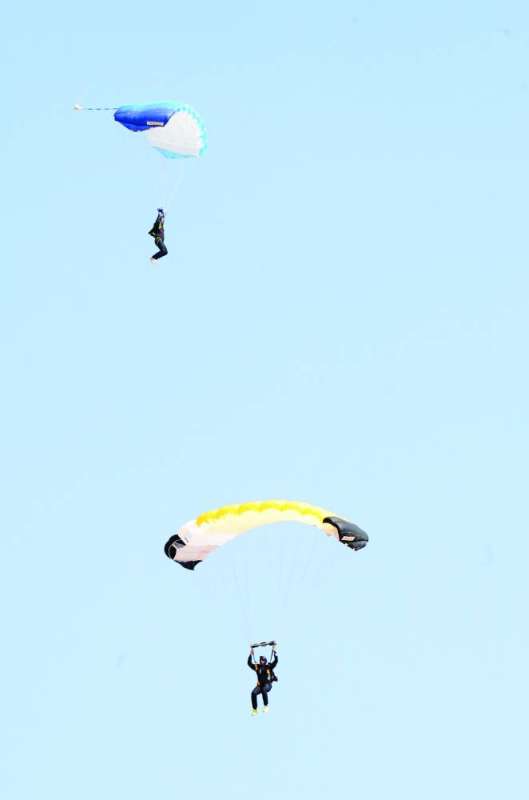 العنصر النسائي إقباله أكبر