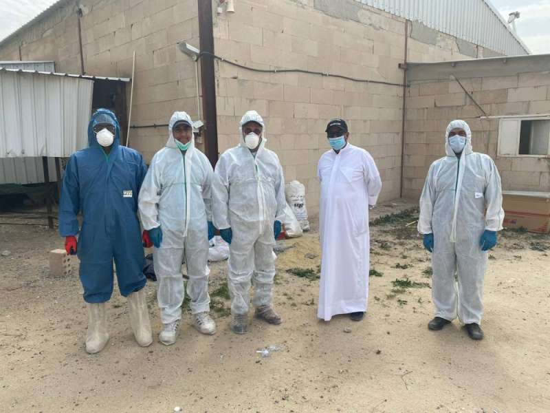 اليوسف مشاركا في إتلاف الدواجن المصابة 