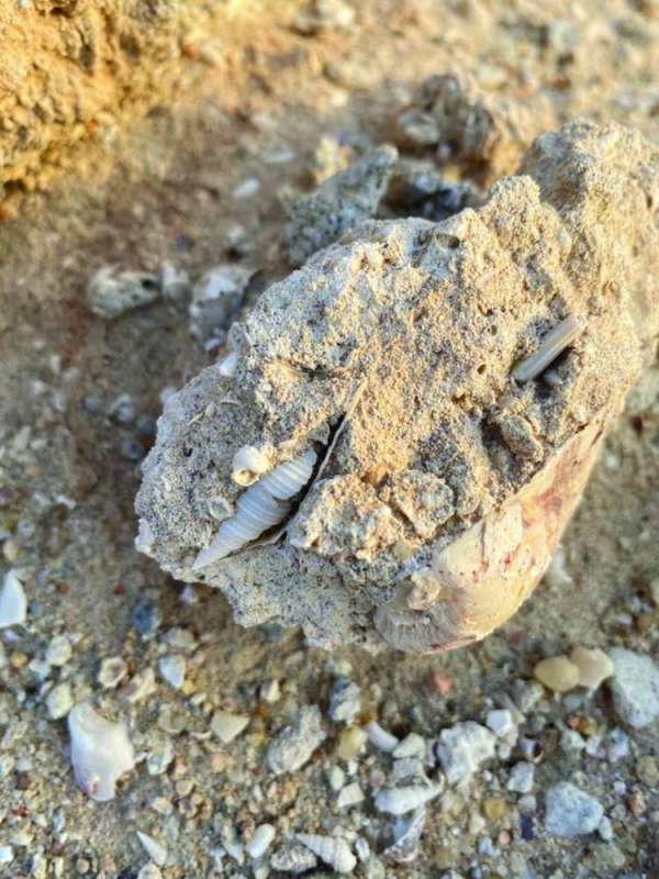 آثار الأزمنة القديمة