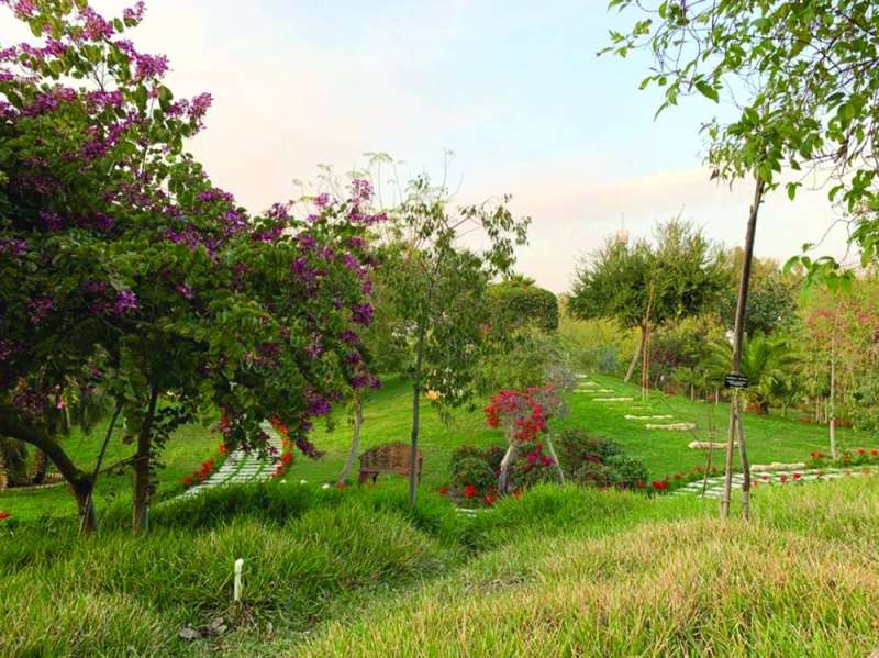 روعة الطبيعة