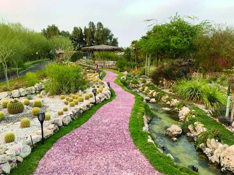 واحة الصباريات... الفريدة