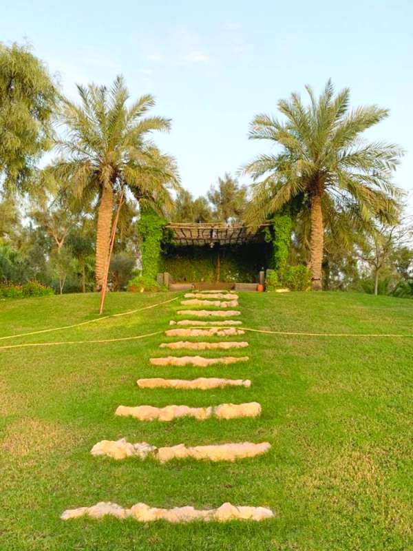 اللون الأخضر... سرّ الجمال الطبيعي 