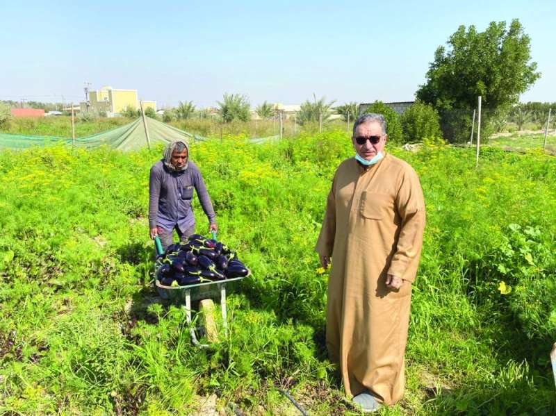 المزارع العماني.... في مزرعته