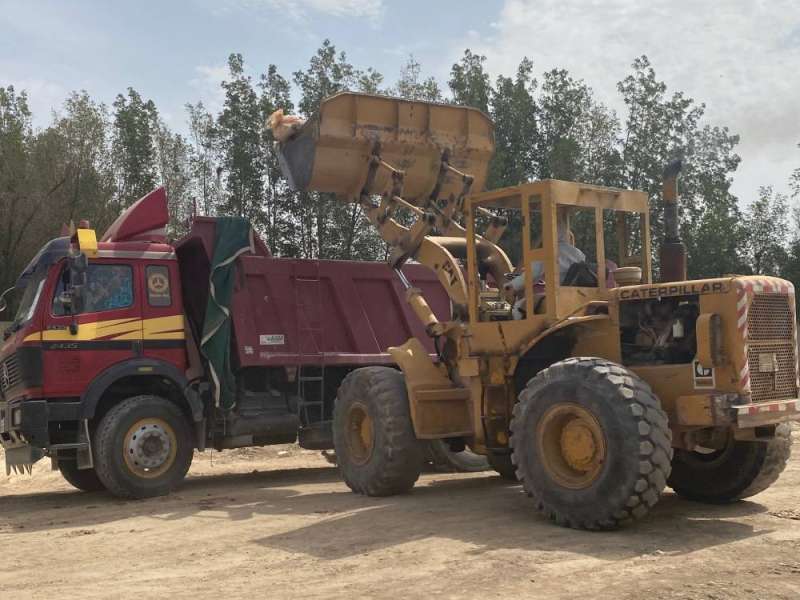 نقل الطيور المعدمة إلى خارج المزرعة