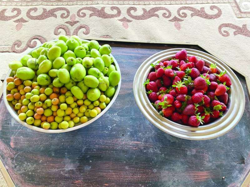 الكنار والفراولة... إنتاج كويتي