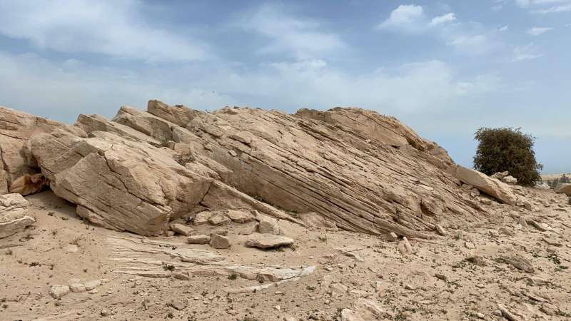 أضلاع الخيران وما تحويه من جيولوجية وكائنات حية