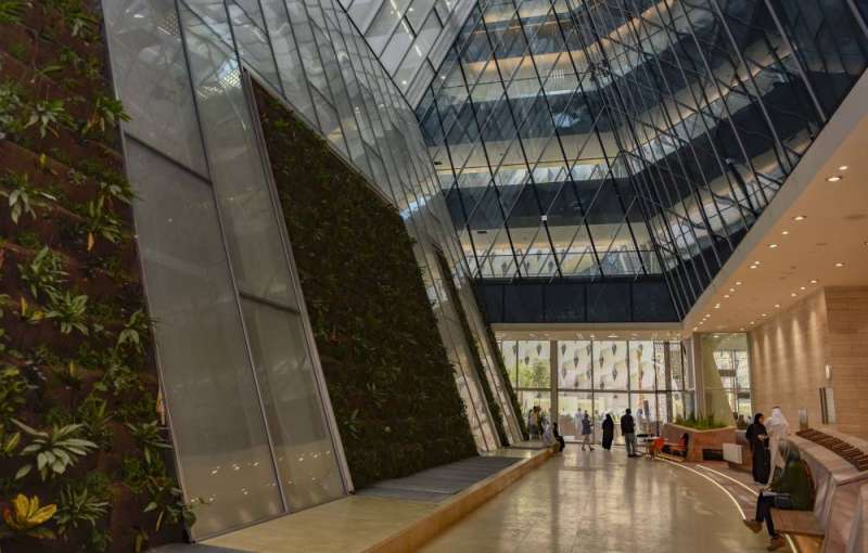 أحد الممرات في جامعة الشدادية (أرشيف)