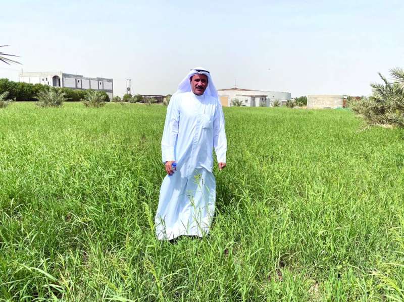 المزارع محمد البراك 