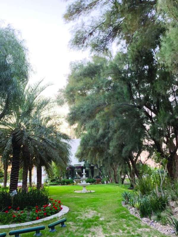 مطلوب حماية الثروة النخيلية من السوسة الحمراء