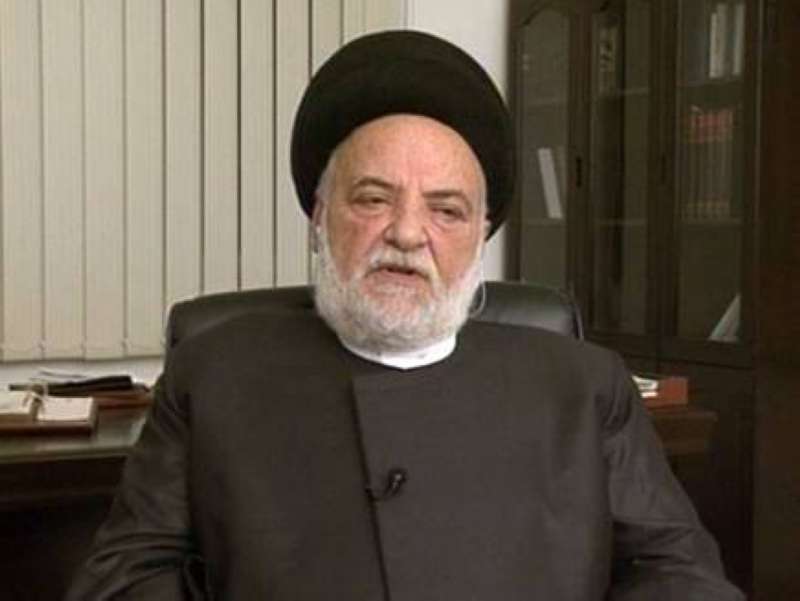 السيد محمد حسن الأمين