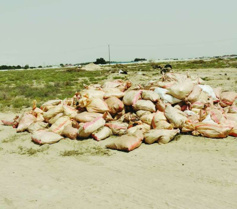 جانب من إعدامات الدجاج المصاب