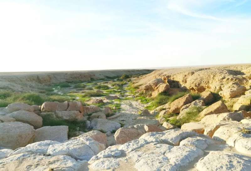 وادي الباطن