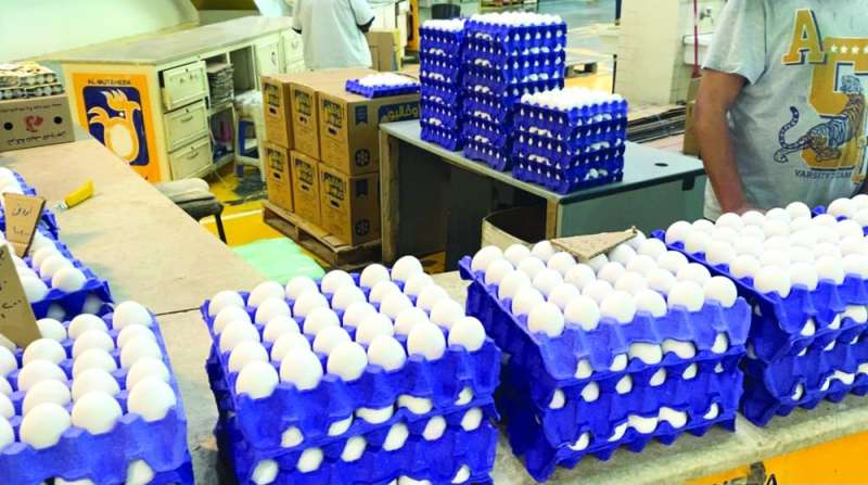 وفرة في البيض المستورد