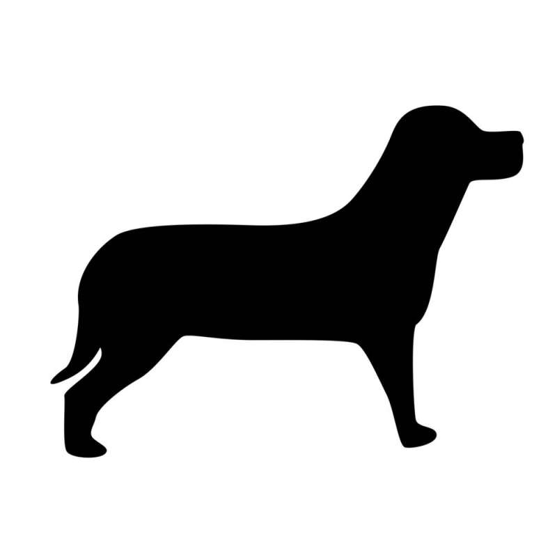 رفض بيع كلبه فوصلته رسائل سب