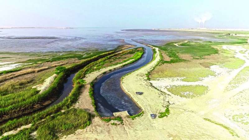 سيل من الملوثات (تصوير أسعد عبدالله ونايف العقلة)