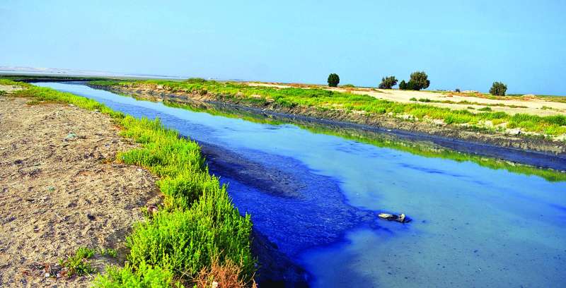 التلوث يفتك بالطبيعة