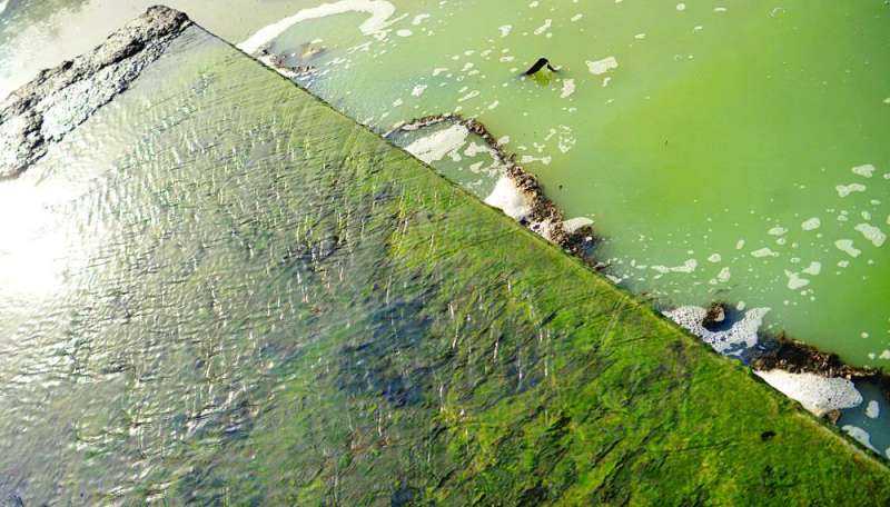 المناهيل بيئة خصبة للأمراض