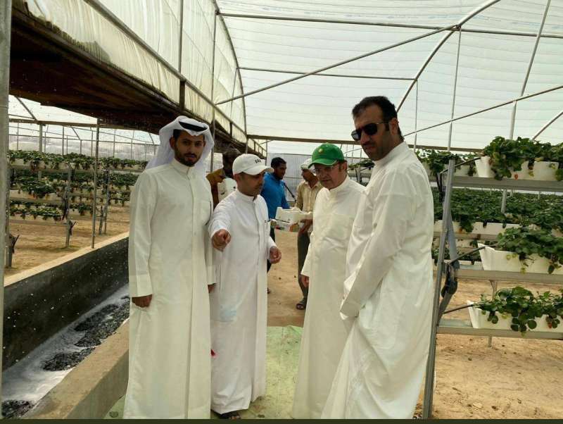 الشايع خلال الزيارة