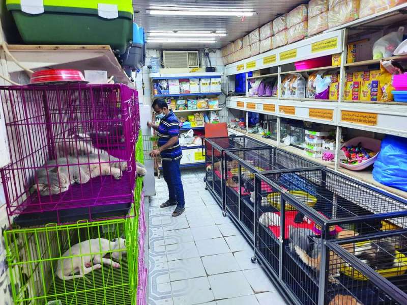 داخل أحد المحلات