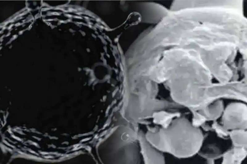 مخاوف من أن العدوى الفطرية تنتشر بسهولة أكبر من الفطريات السوداء