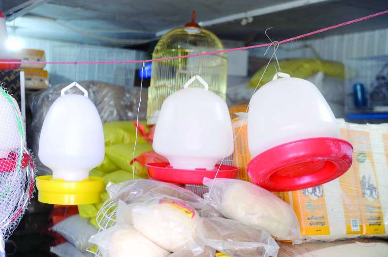 أدوات مخصصة لسقيا الطيور