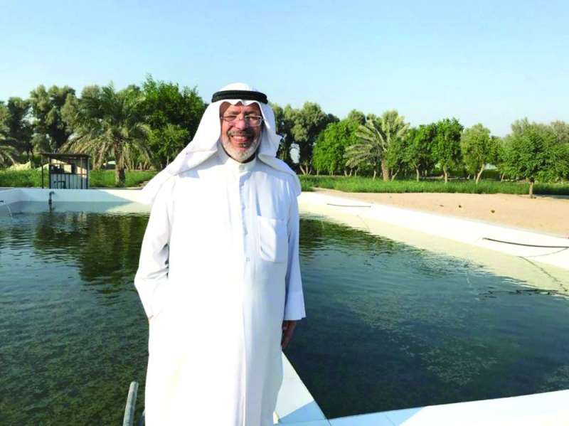 بركة لتربية السمك البلطي في مزرعة الجسار