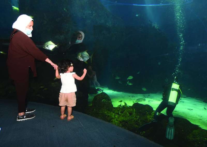 في أكواريوم المركز العلمي 