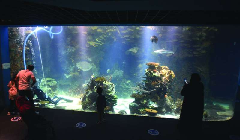زائرون للأكواريوم في المركز العلمي عقب إعادة افتتاحه 	(تصوير أسعد عبدالله)