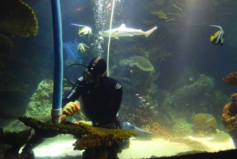 
 غواص بين أسماك الأكواريوم في المركز العلمي