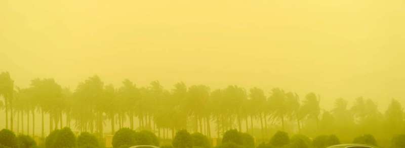 تصوير سعود سالم