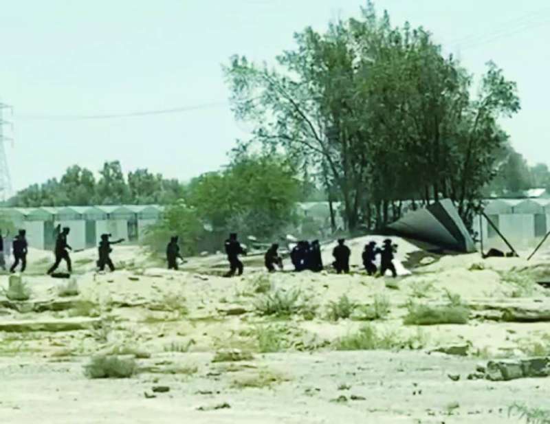 
القوات الخاصة تحاصر القاتل في الوفرة