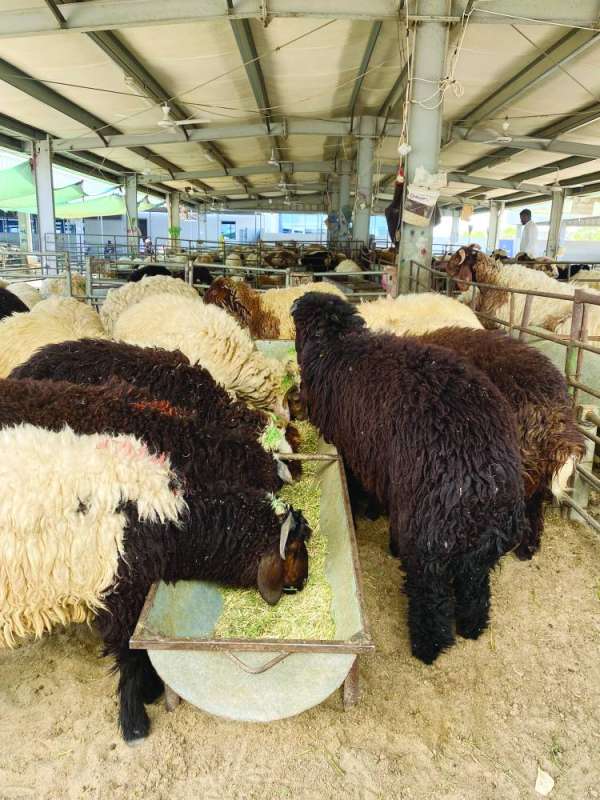 تدفق المستورد 