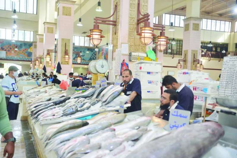 
أسماك متنوّعة في غياب الزبيدي
