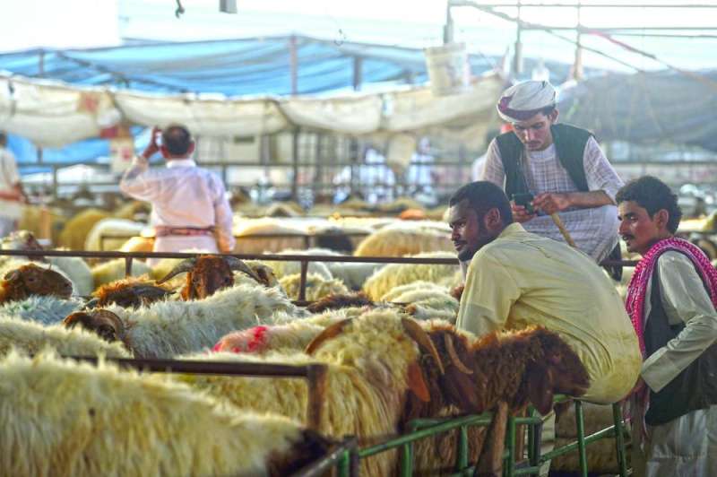 بائعون وأضاحٍ بانتظار المشترين	
