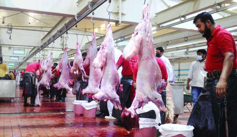 تنظيم ممتاز في المسالخ 