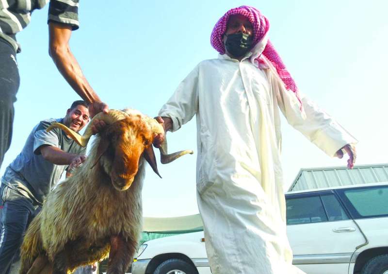 
سوقُ الأضحية إلى المسلخ