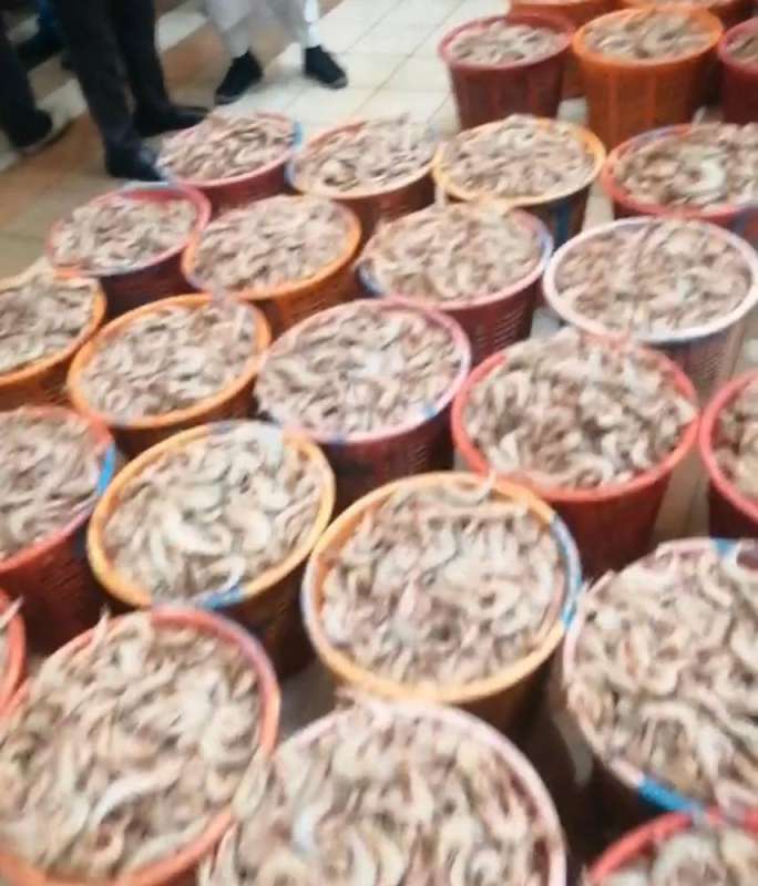 كميات من الروبيان في سوق الفحيحيل