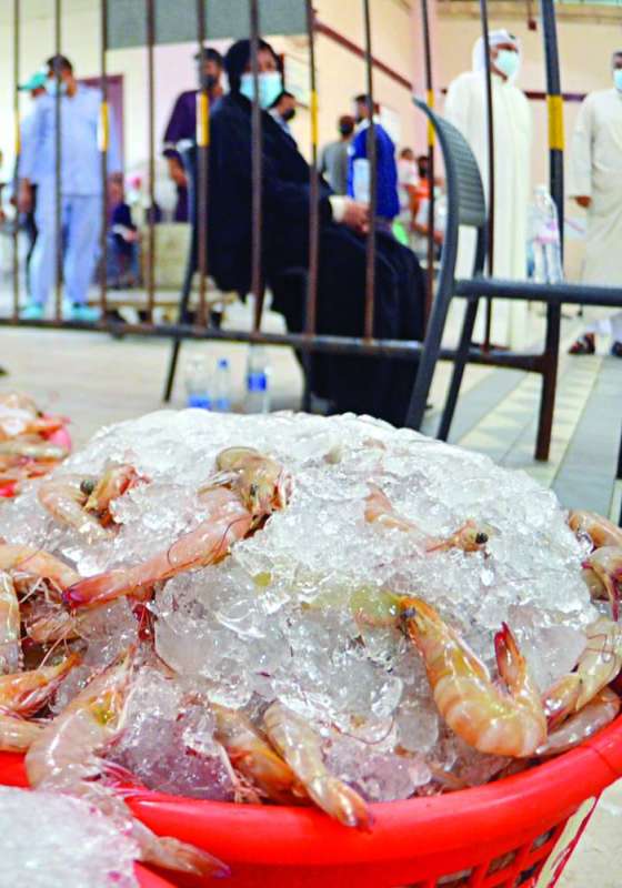 نصيب الأسد للروبيان
