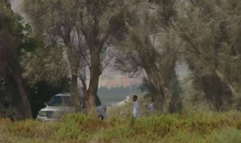 «البيئة» تضبط صائد الطيور المهاجرة 