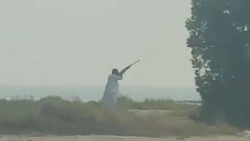 «البيئة» تضبط صائد الطيور المهاجرة 