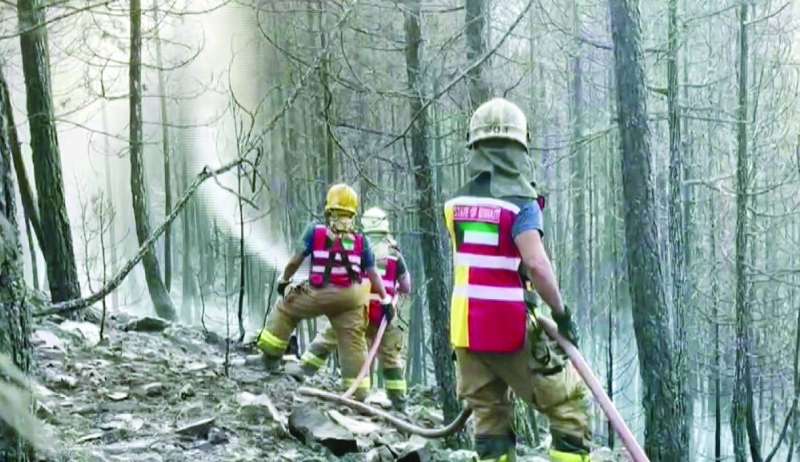 
الجهود الكويتية لم تقتصر على المساعدات وإنما شملت المشاركة في إطفاء الحرائق في عدد من الدول بينها تركيا
