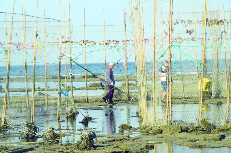 
الجروان داخل إحدى «الحضور»	 (تصوير أسعد عبدالله)